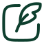 اسکریپت